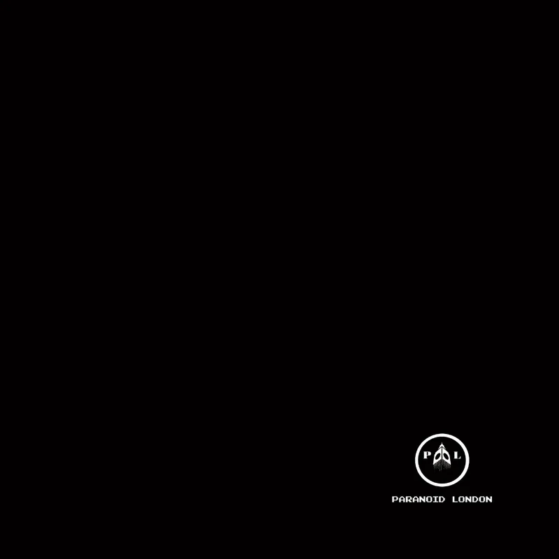 2026_05_08_2952588