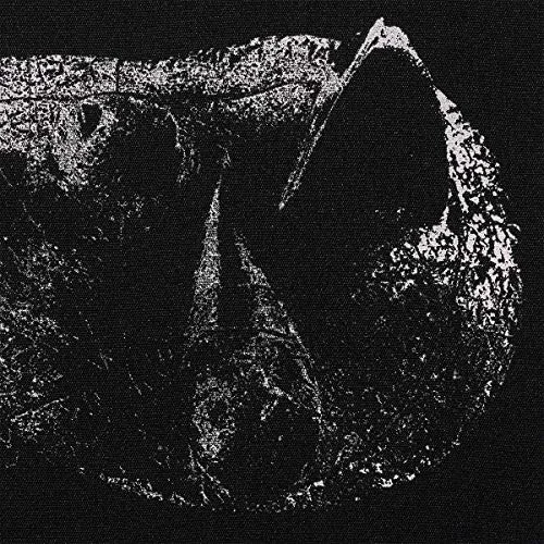 2026_05_09_3162597