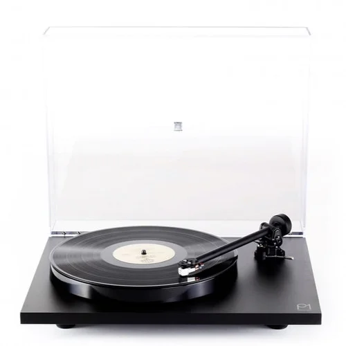 applestumprecords202605071458592761016