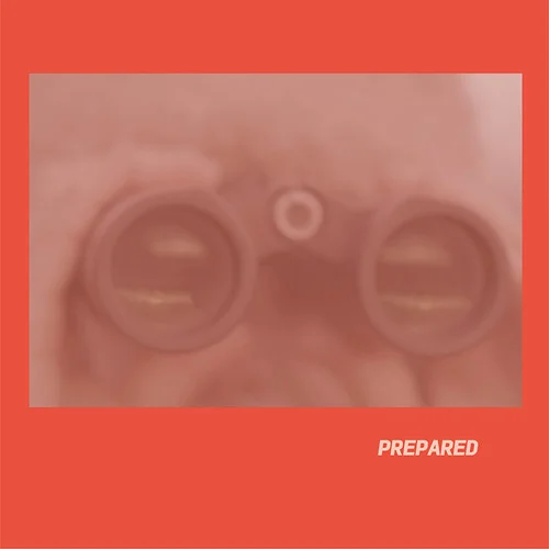 applestumprecords202605080444442851544