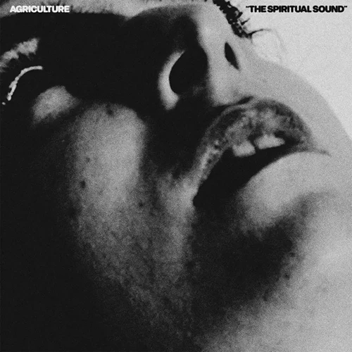 applestumprecords202605090613243037039