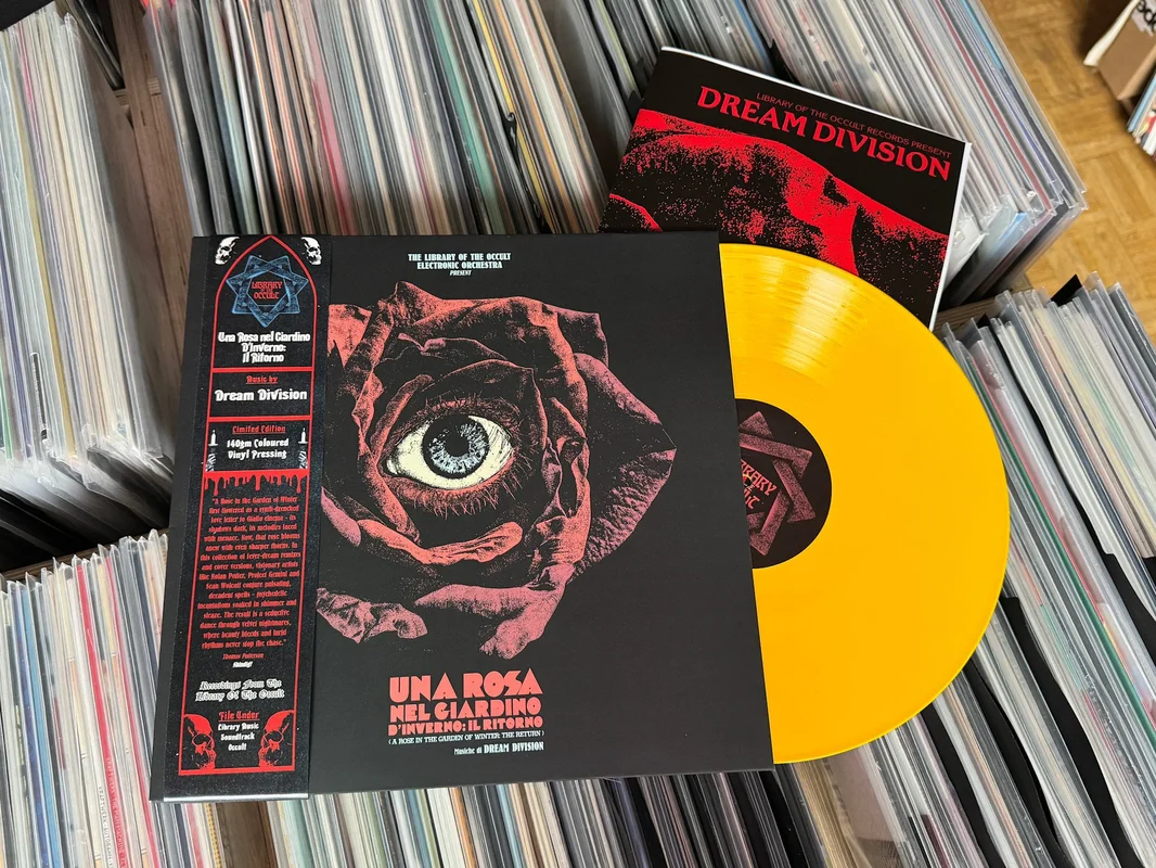 strangerthanparadiserecords202605071746262780379
