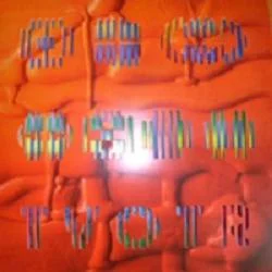 whatrecords202605071250102732986